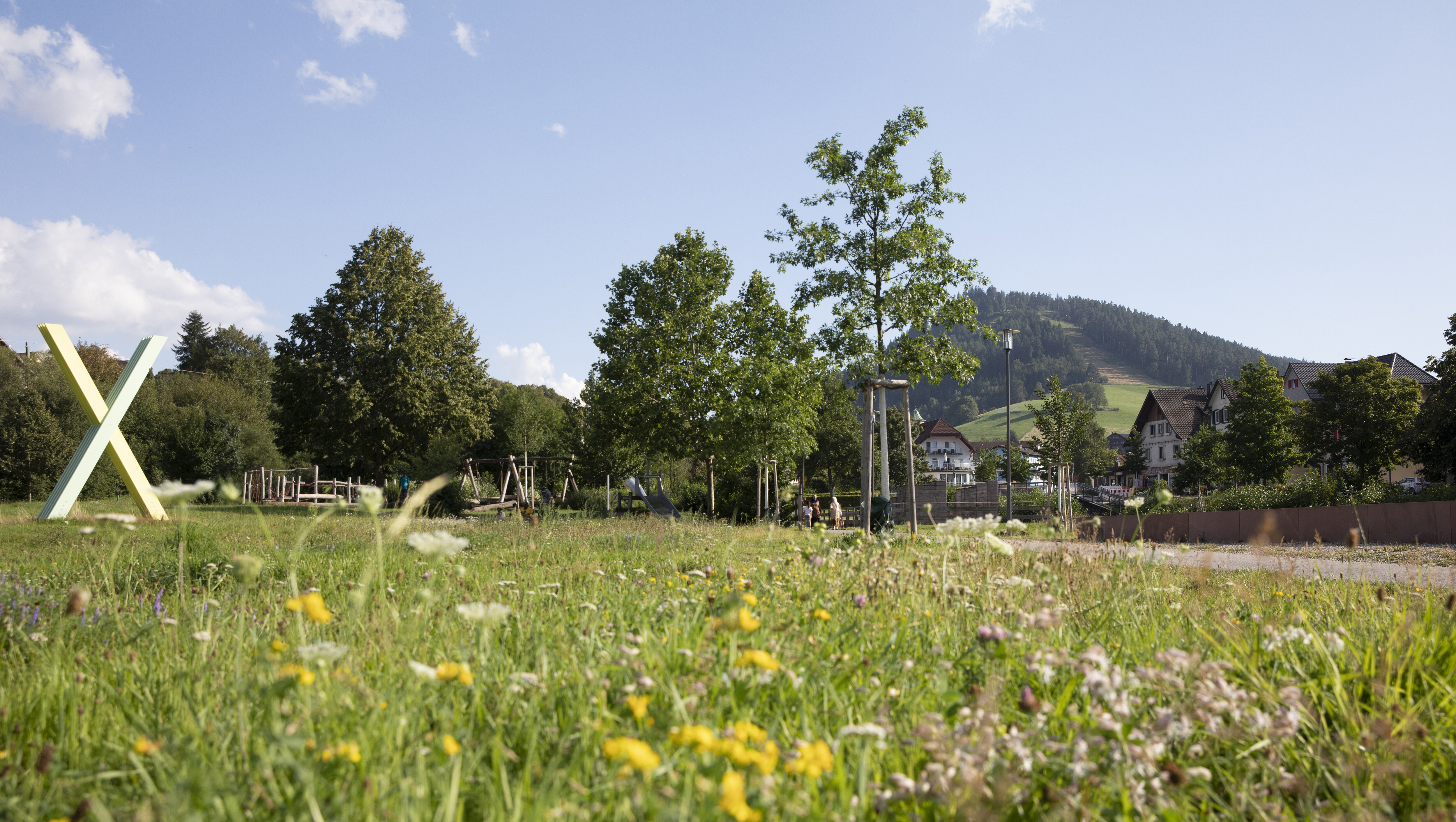 Blumenwiese Tal X