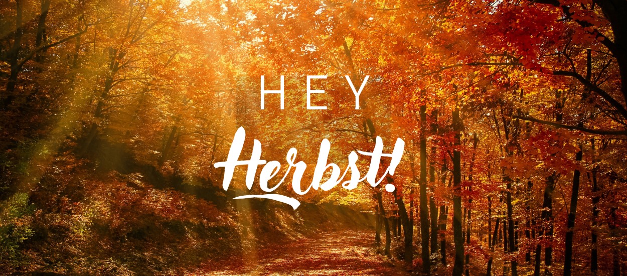 Bald ist Herbstanfang. Jetzt schon an den Wohlfühlherbst denken. Sackmanns Wohlfühlherbst.