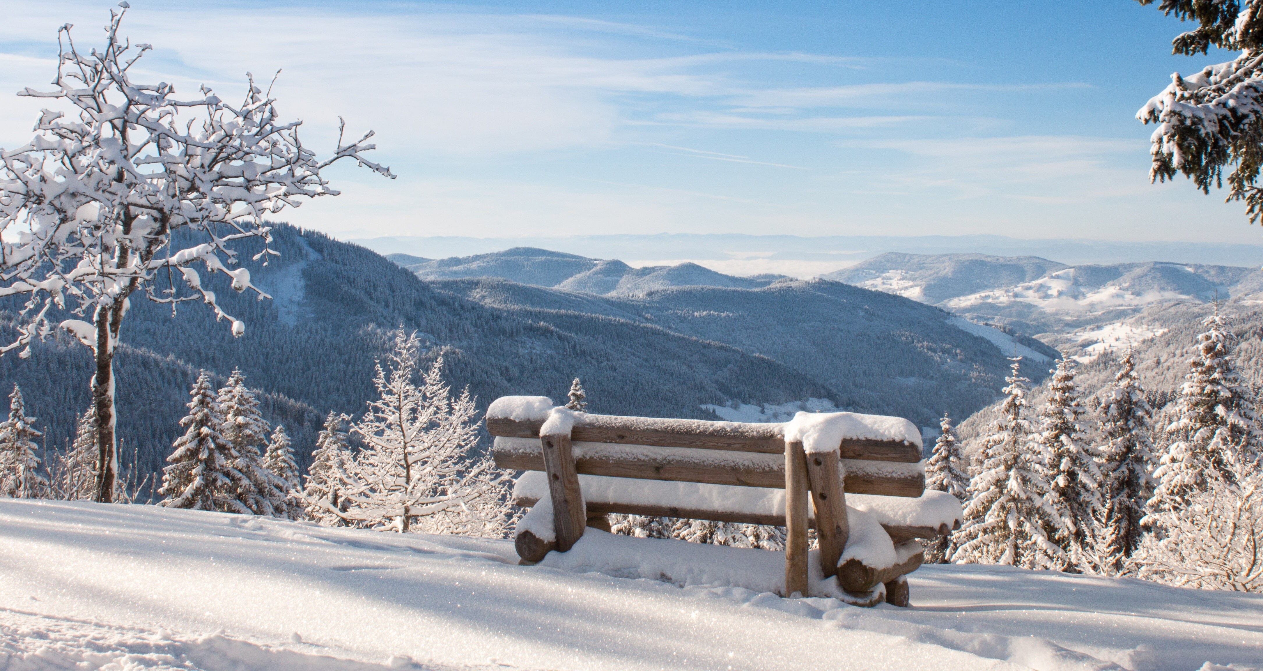 Das Bild zeigt in einer Fensteroptik mit weißen Rahmen die vier Jahreszeiten. Diese sind von links nach rechts folgend angeordnet: Winter, Frühjahr, Sommer und Herbst. Das Winterbild zeigt im oberen Bereich vereiste Tannenzweige. Im unteren Bereich ist ausschließlich ein blauer Hintergrund zu erkennen. Das Frühjahrfenster, zeigt die hellrosanen Zweige der Kirschblüte. Die Zweige ragen vom linken Bereich des Bildes schräg in den rechten unteren Bereich. Das Sommerbild besitzt den Ausschnitt einer Blumenwiese. In dieser sind lilafarbene Blumen und ein Schmetterling zu sehen. Im Herbstbild ist am unteren Ende ein Laubhaufen zu sehen.