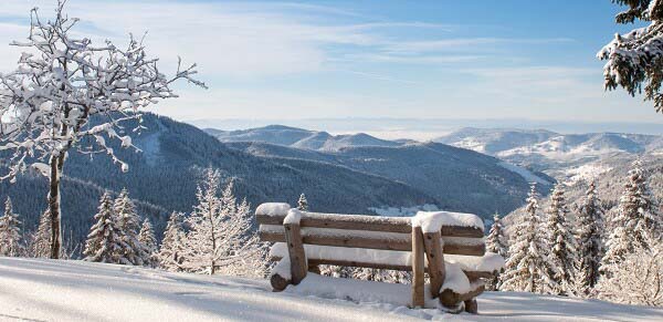 Winterlandschaft im Schwarzwald. Wir begrüßen den Winter mit einem Spezialangebot.