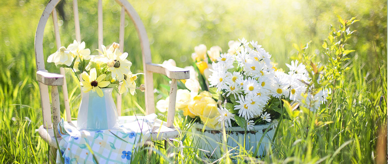 Eine Wiese mit einem kleinen hölzernen Stuhl und einem Blumentopf. Auf der linken Seite sieht man einen weißen hölzenernen Stuhl mit einer blau weißen Vase, welche gelbe Blumen enthält. Unter der Vase ist eine kleine Decke, welch ein Blumenmuster besitz. Rechts neben dem Stuhl steht ein Blumentopf mit weißen Margeriten und gelben Tulpen.
